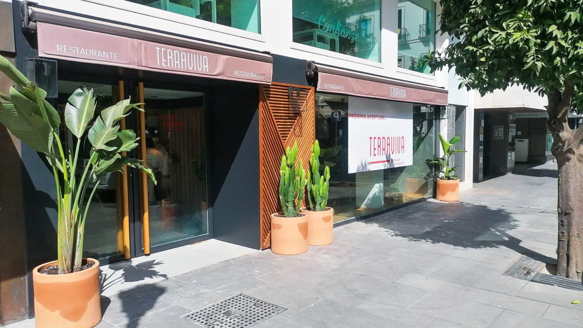terraviva